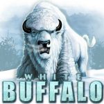 white buffalo